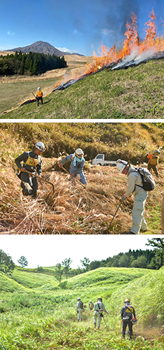 写真：上から「野焼き」「草寄せ」「輪地切り」