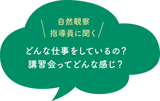 自然観察指導員に聞く「どんな仕事をしているの?講習会ってどんな感じ?」
