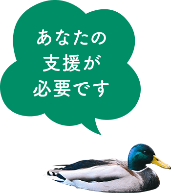 あなたの支援が必要です