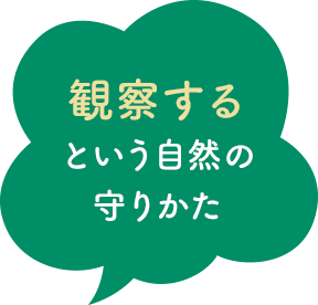 観察するという自然の守りかた