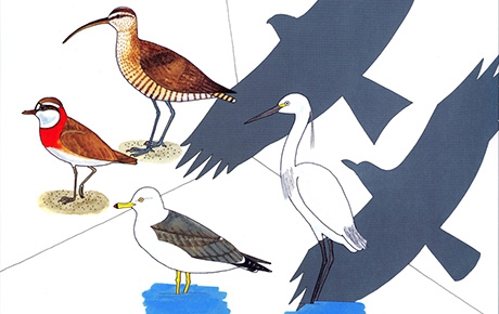 自然観察に役立つツール