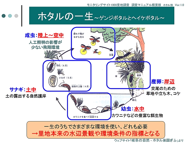 産卵、幼虫、サナギ、成虫と一生のうちで様々な環境を使い、どれも必要なことを解説した図