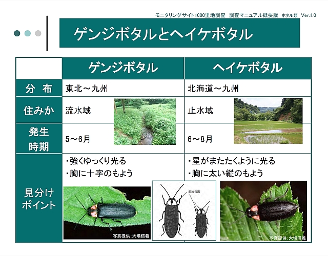 分布、住みか、発生時期、見分け方