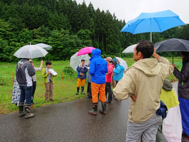 雨の中、傘をさして後藤の説明を聞く参加者