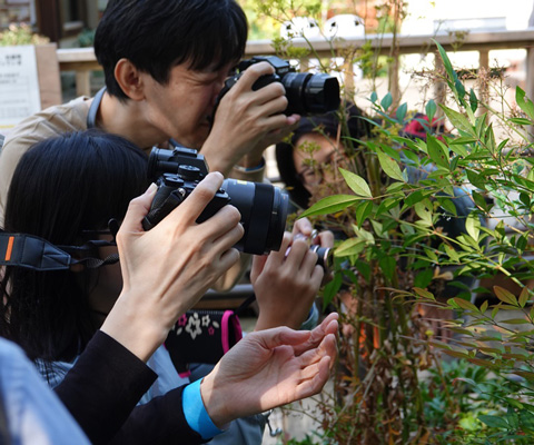 参加者が写真を撮っている画像