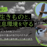 里山の生きものと、その生息環境を守る、ご支援のお願い