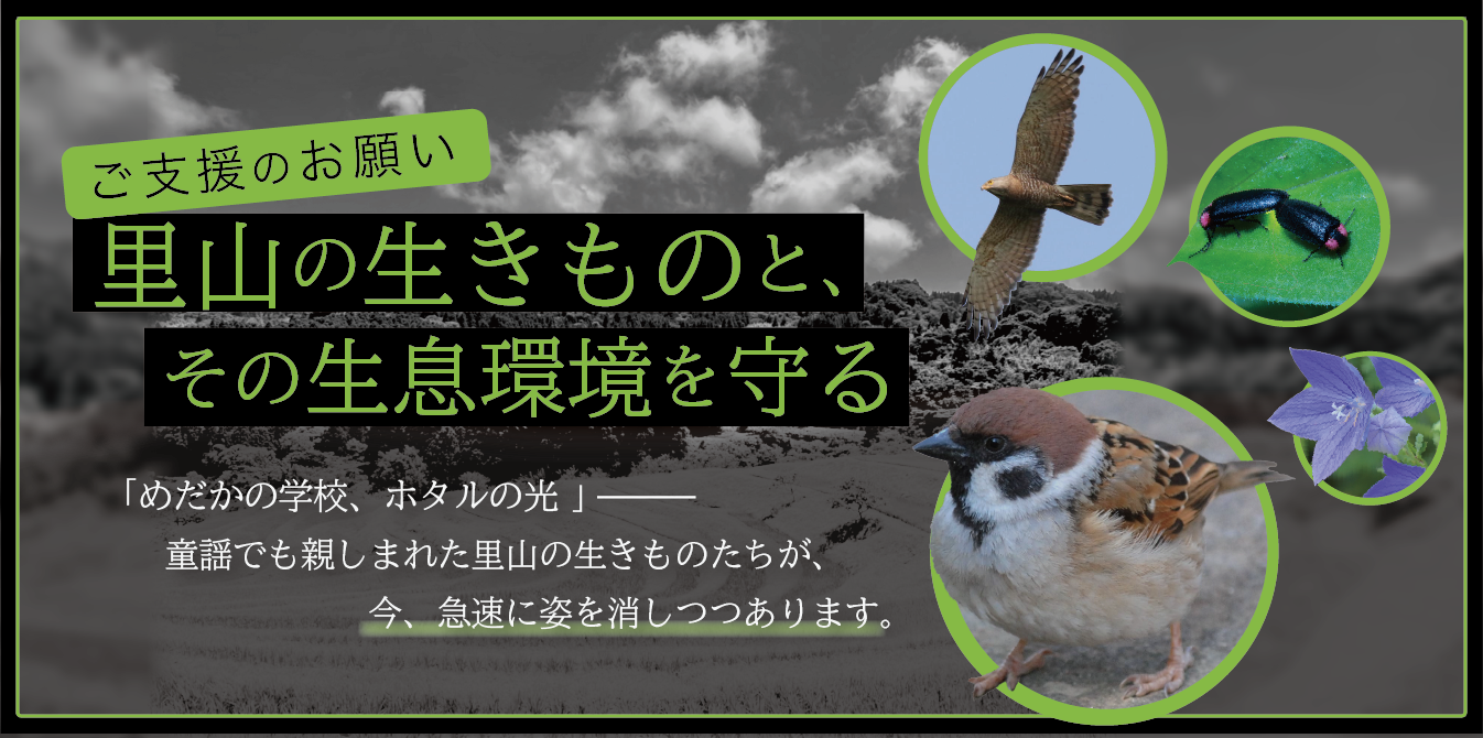 里山の生きものと、その生息環境を守る、ご支援のお願い