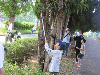 虫網を持つ子供の画像