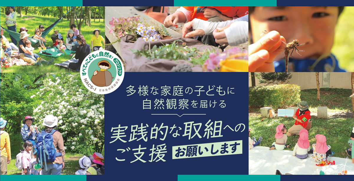 多様な家庭の子どもに自然観察を届ける実践的な取組へのご支援お願いします