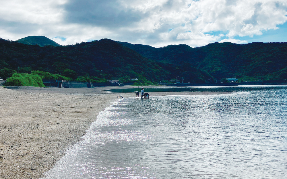 浜辺の写真