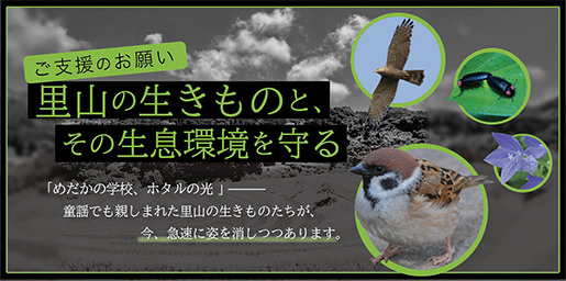 東京都中野区の哲学堂公園の樹木を守るためにどんな活動をしたか、紹介していただきました