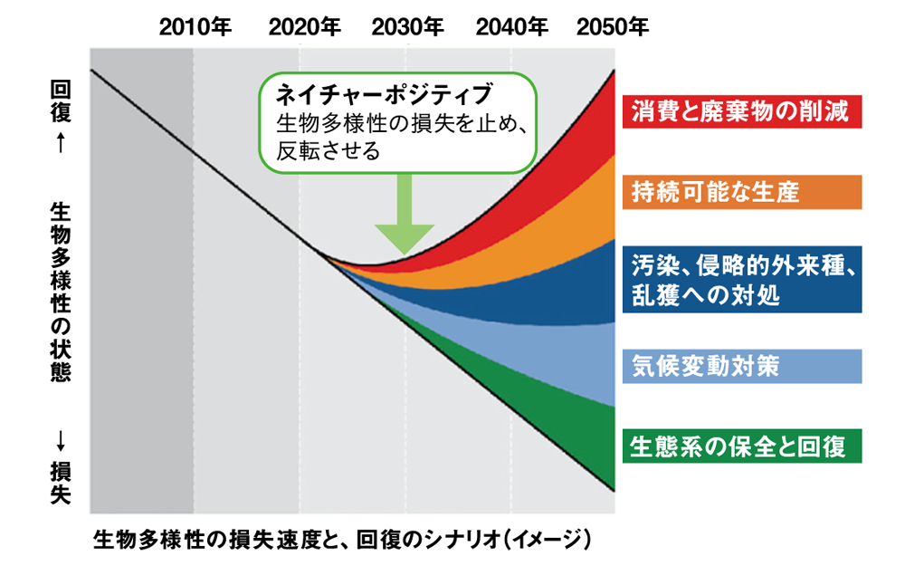 2000年〜2050年の行動の内訳を示した図