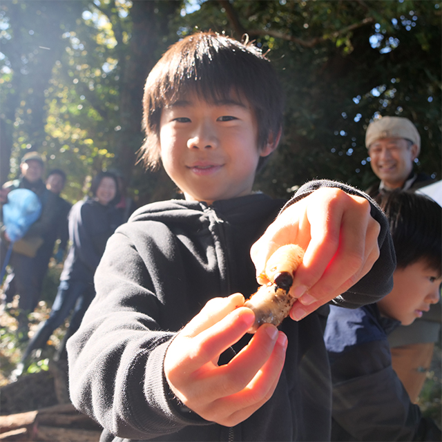 カブトムシの幼虫を見せる子どもの画像