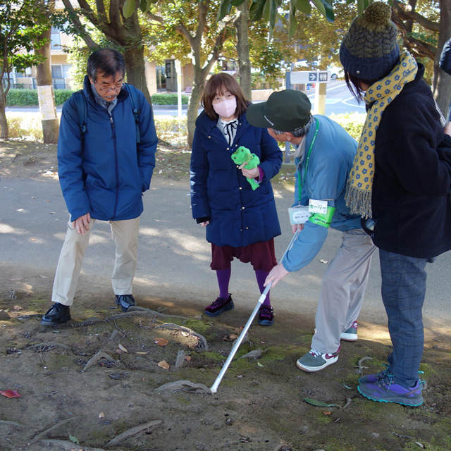 幼虫の抜け穴を指す堀内さんの画像