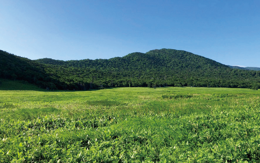 知床岬の携帯通信基地整備の計画地