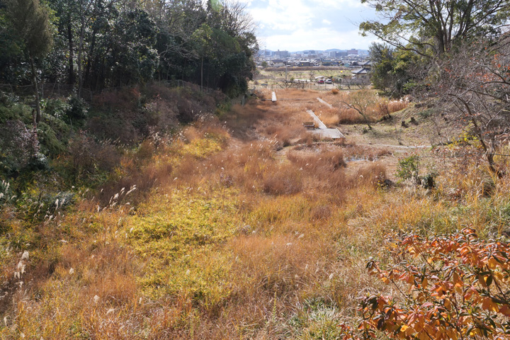 高台から見た植物園の画像