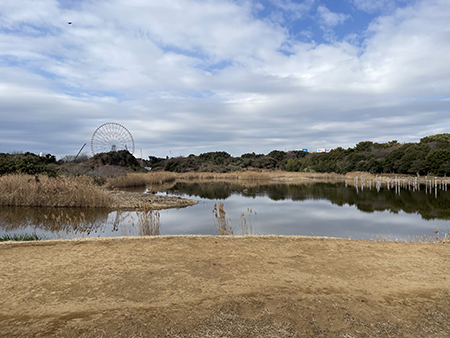 冬の公園