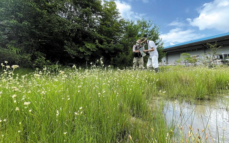 稲垂町での調査風景の画像